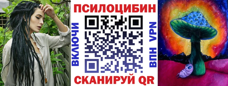 Купить где  Духовщина  Псилоцибиновые грибы Psilocybine cubensis 
